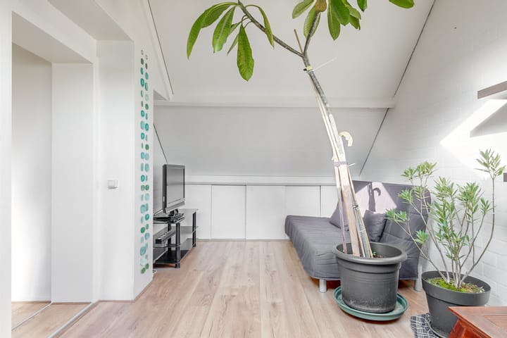 Foto 19 van Grote Omloop 1