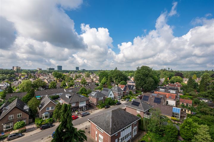 Bekijk foto 23 van Koning Lodewijklaan 312