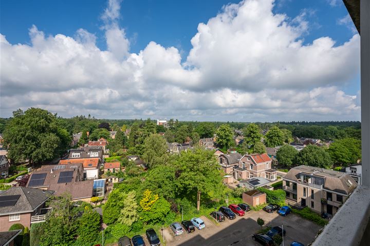 Bekijk foto 24 van Koning Lodewijklaan 312