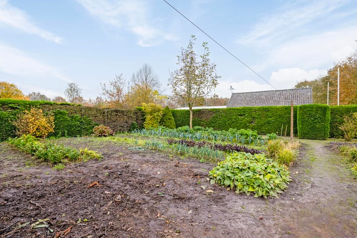 Foto 38 van Wintelresedijk 2