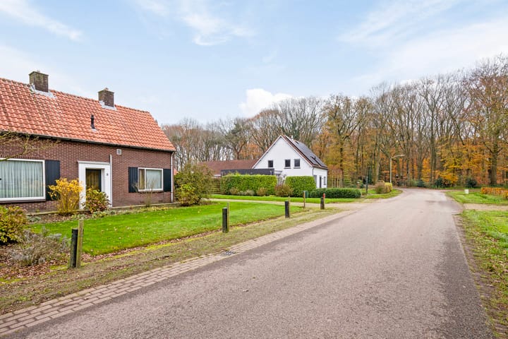 Foto 45 van Wintelresedijk 2