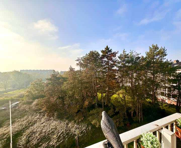 Foto 22 van Ridderspoorweg 112