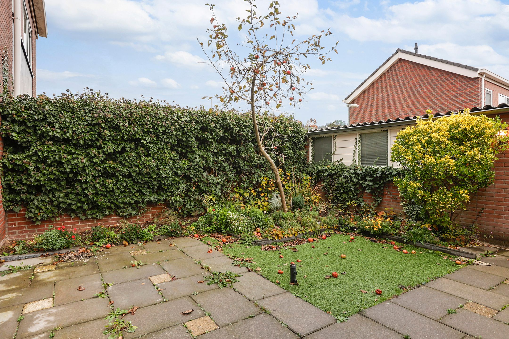 Foto 15 van Kraaijenberg 8803