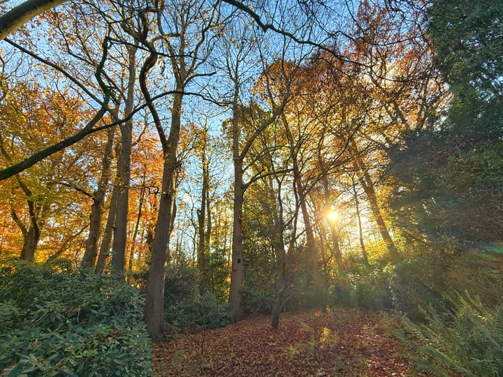 Foto 70 van Plantagebaan 221