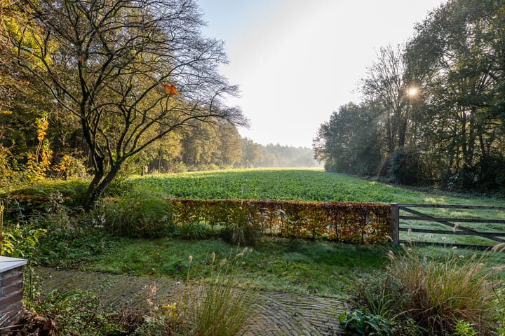 Foto 46 van Kastanjelaan 31