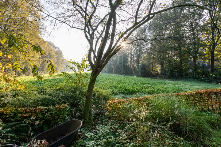 Foto 47 van Kastanjelaan 31