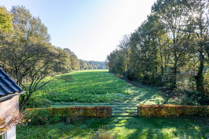 Foto 49 van Kastanjelaan 31