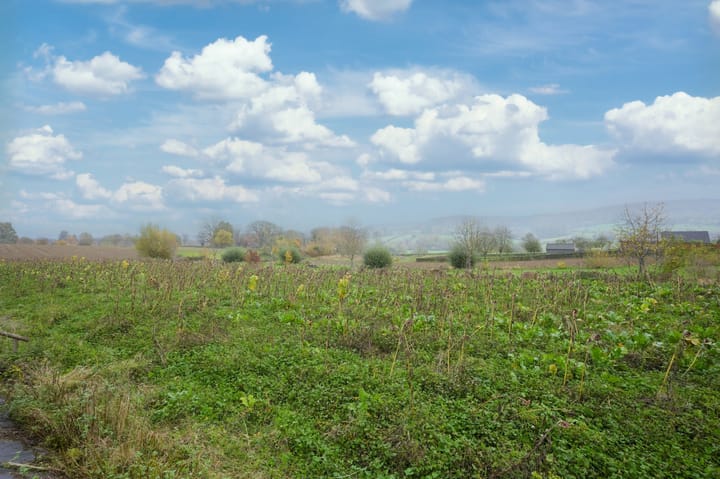 Foto 23 van Schoolstraat 21