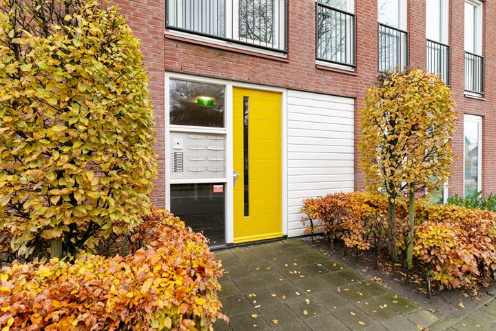 Bekijk foto 7 van Nieuwe Heilaarstraat 43