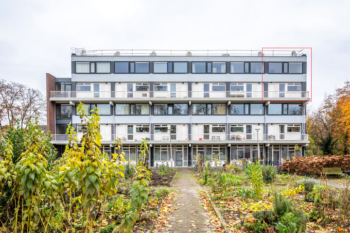 Bekijk foto 1 van Van Haapsstraat 76