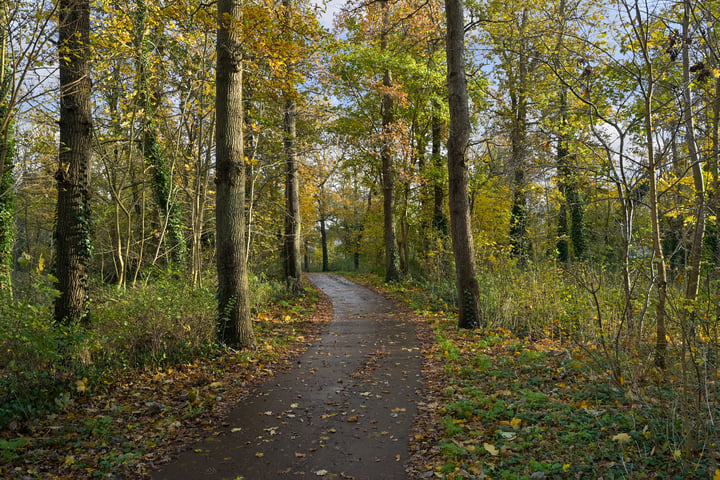 Bekijk foto 59 van Badhuisweg 145