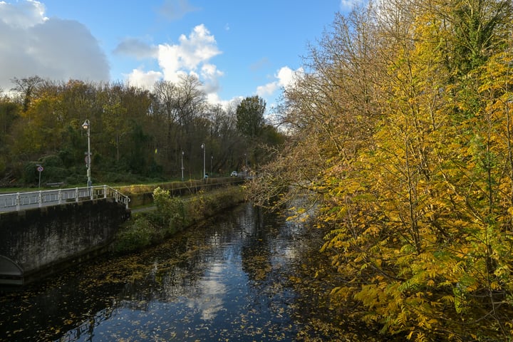 Bekijk foto 61 van Badhuisweg 145