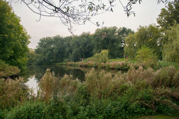 Bekijk foto 21 van Orteliuskade 54-H