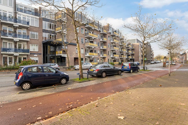 Bekijk foto 32 van Zuidvliet 442