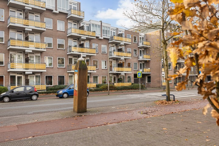 Bekijk foto 33 van Zuidvliet 442