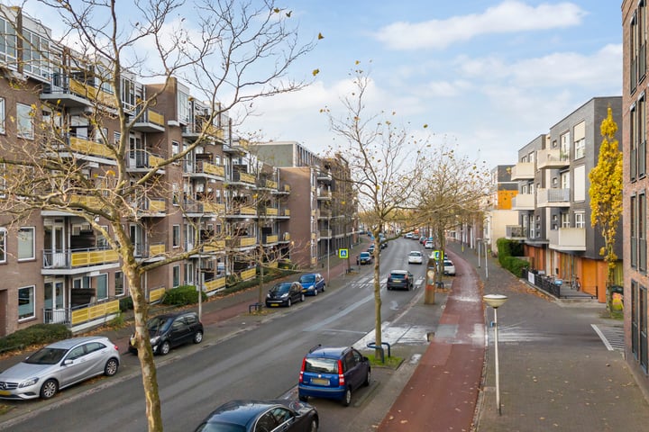 Bekijk foto 35 van Zuidvliet 442