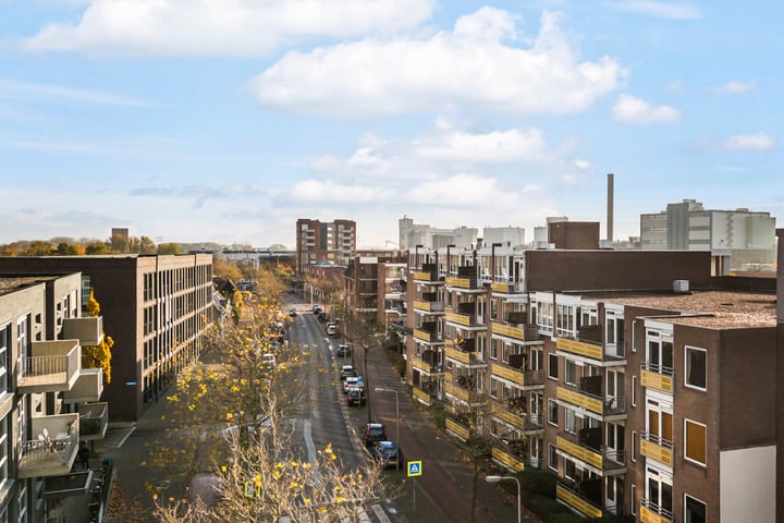 Bekijk foto 37 van Zuidvliet 442