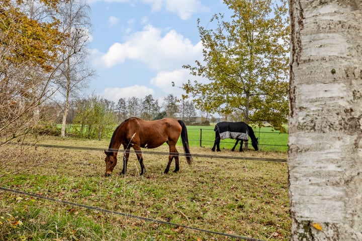 Bekijk foto 46 van Oosterboerweg 101