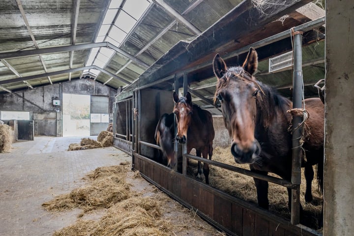 Bekijk foto 47 van Oosterboerweg 101