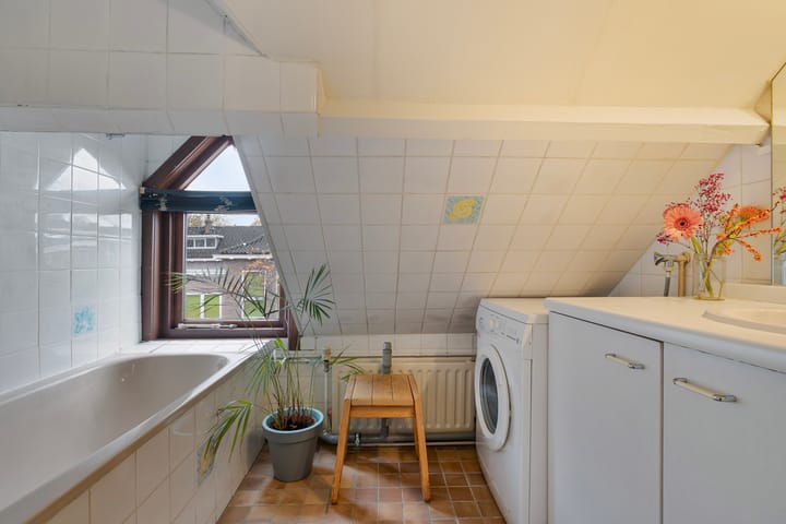 Foto 18 van Dierenstraat 20