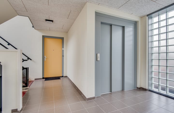 Foto 9 van Lapvoet 24