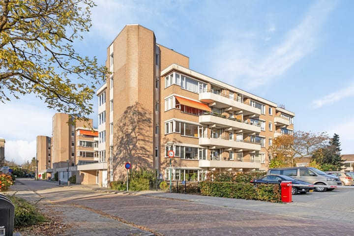 Foto 2 van Zaaier 18