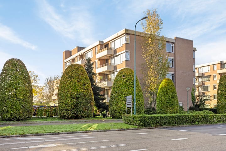 Foto 3 van Zaaier 18