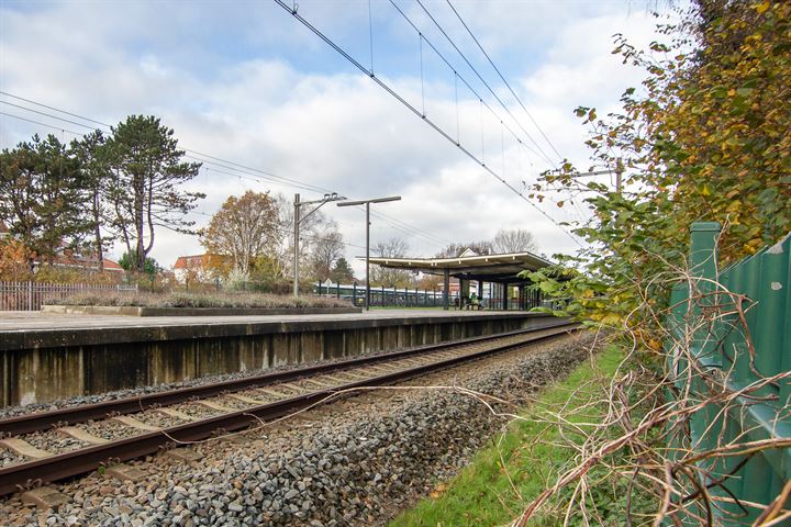 Bekijk foto 43 van Laurens Reaellaan 24-III