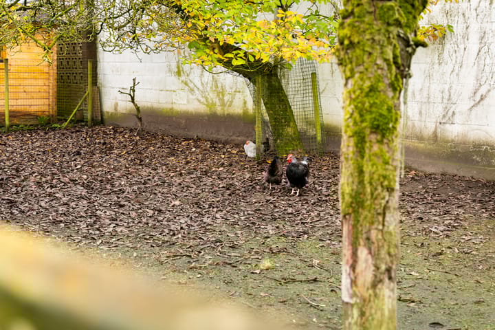 Foto 38 van Steinenburglaan 7