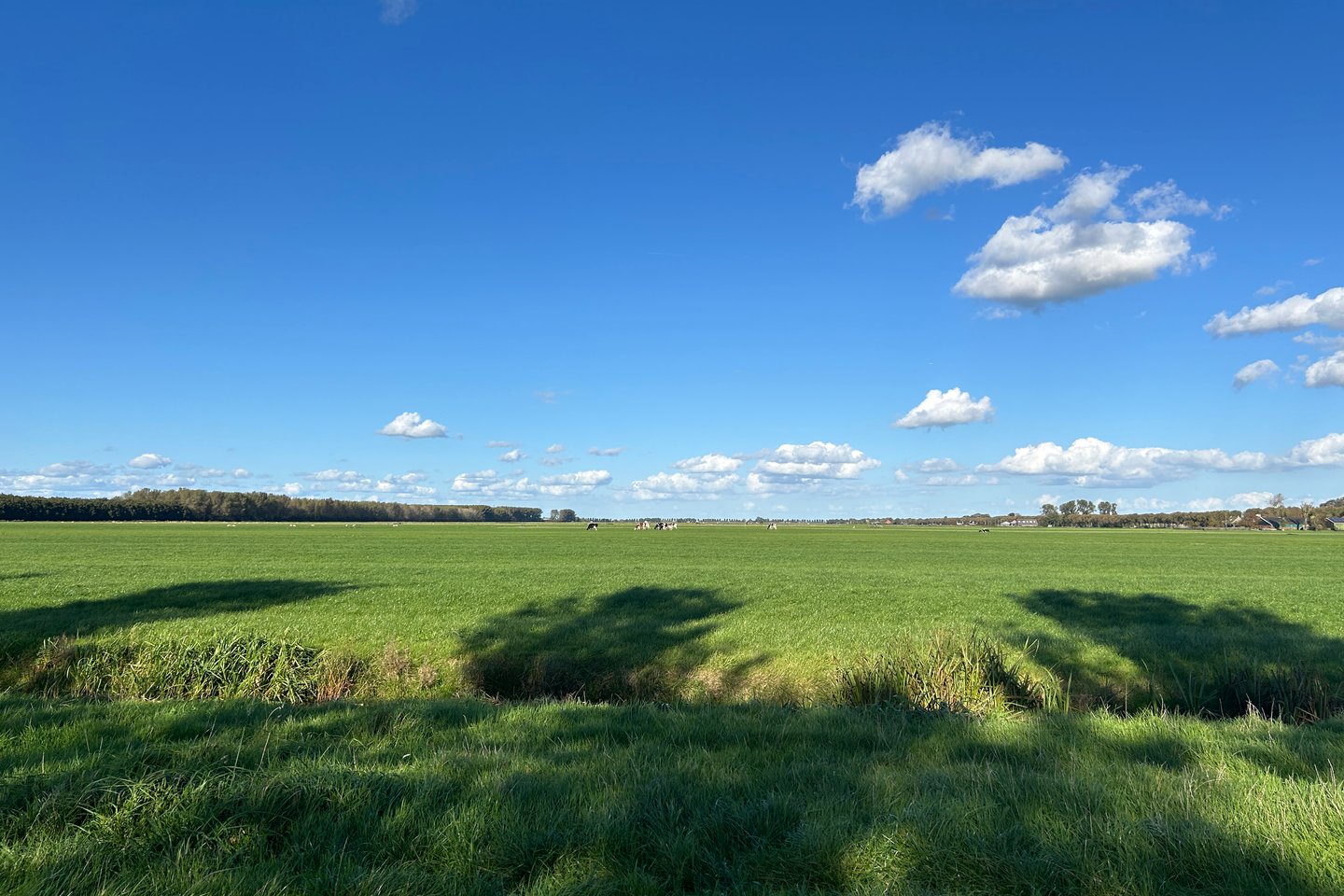 Bekijk foto 2 van Purmerenderweg M