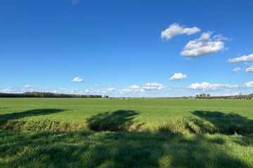 Bekijk foto's