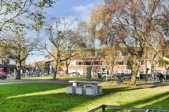 Foto 31 van Abrikozenplein 62