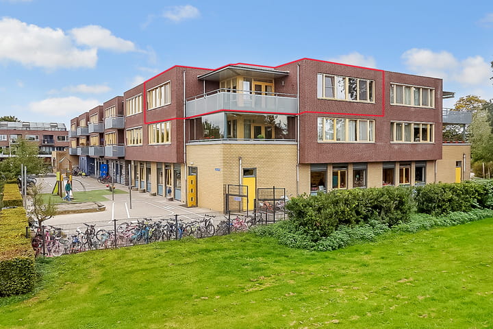 Foto 2 van Salamander 37