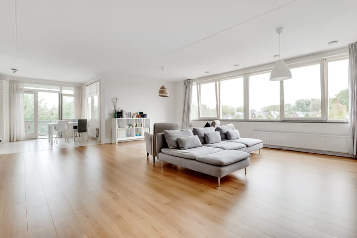 Foto 3 van Salamander 37