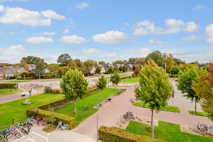 Foto 5 van Salamander 37