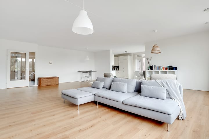 Foto 6 van Salamander 37