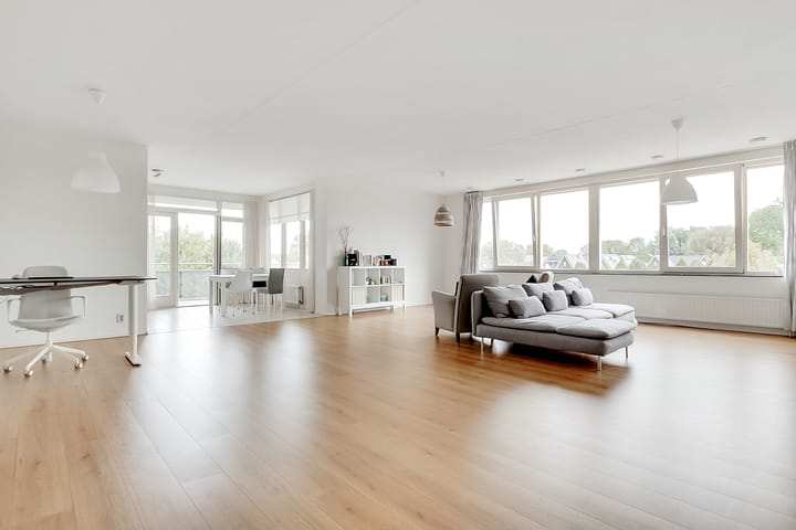 Foto 8 van Salamander 37