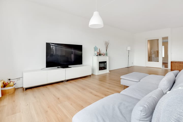 Foto 9 van Salamander 37