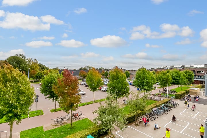 Foto 10 van Salamander 37