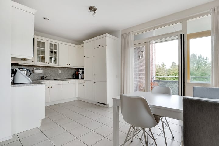 Foto 12 van Salamander 37