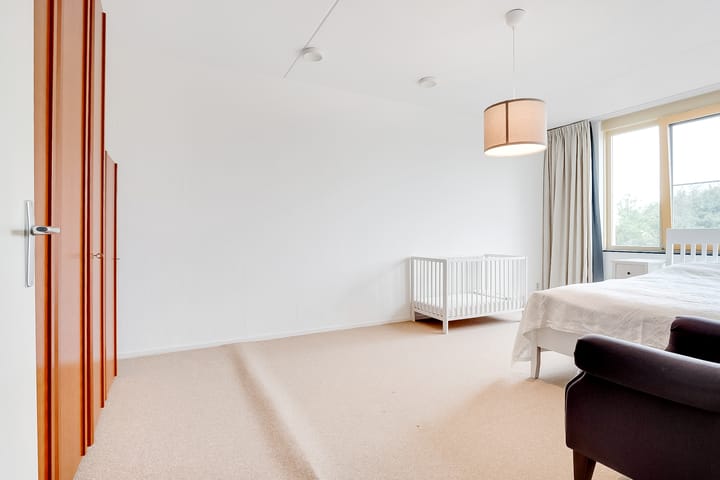 Foto 18 van Salamander 37