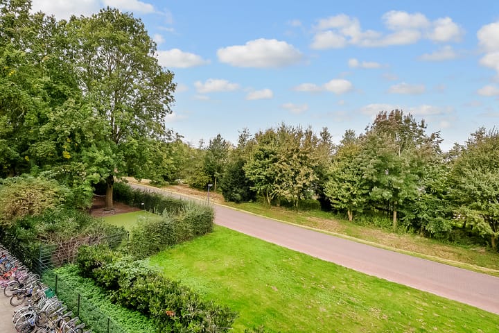 Foto 26 van Salamander 37