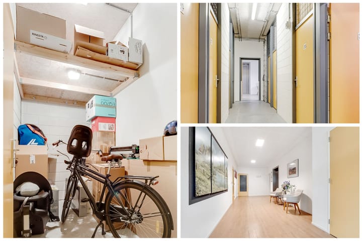 Foto 34 van Salamander 37