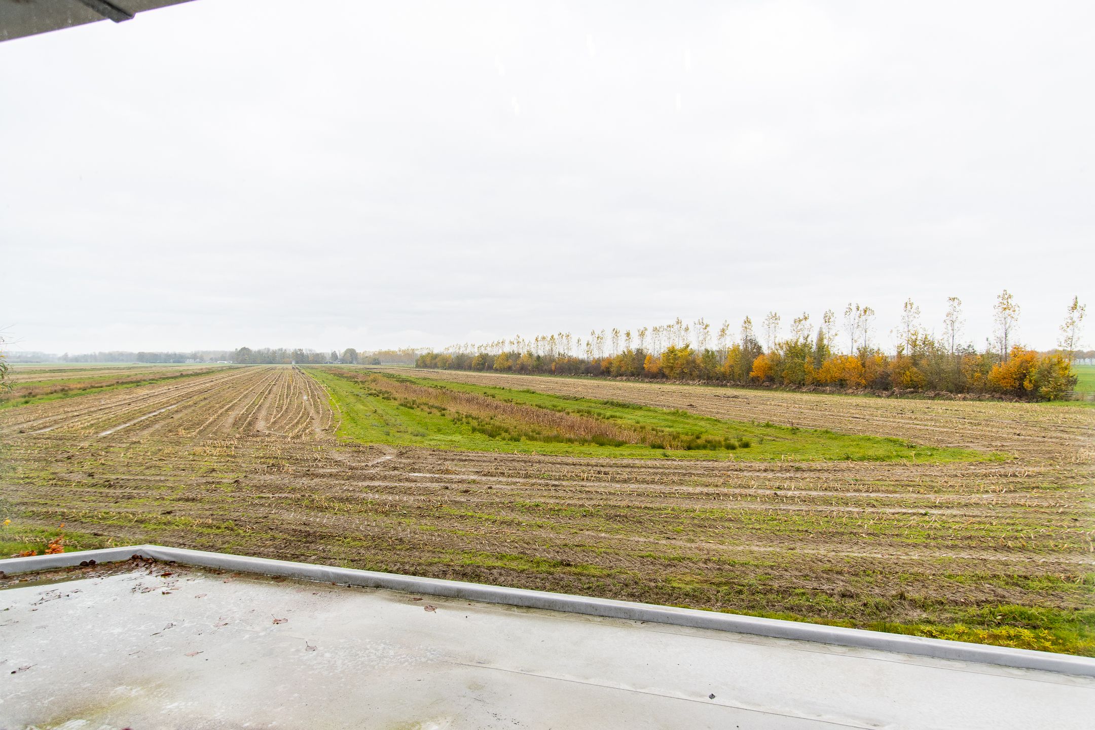 Foto 45 van Delwijnsestraat 18