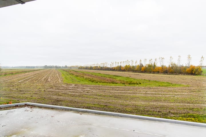 Foto 45 van Delwijnsestraat 18