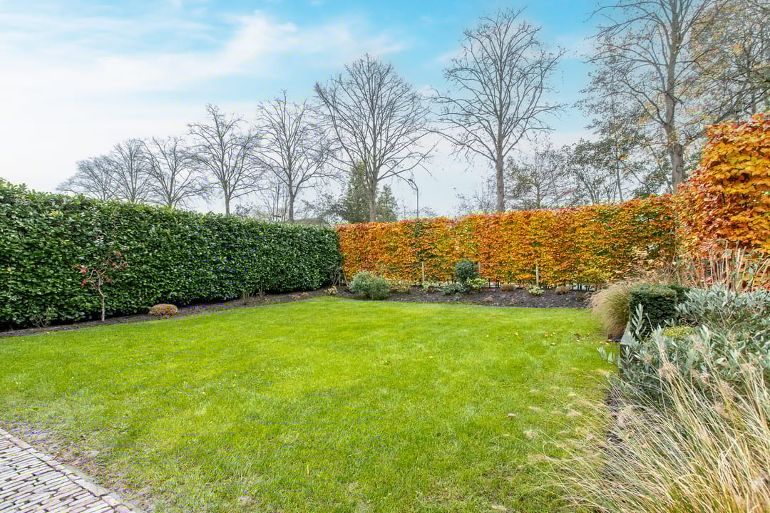 Foto 61 van Delwijnsestraat 18