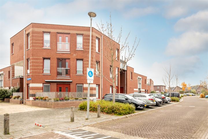 Bekijk foto 4 van Roald Amundsenstraat 68