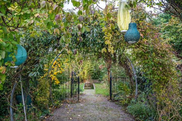 Foto 39 van Zandweg 35