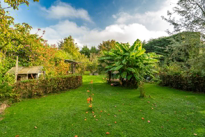 Foto 42 van Zandweg 35