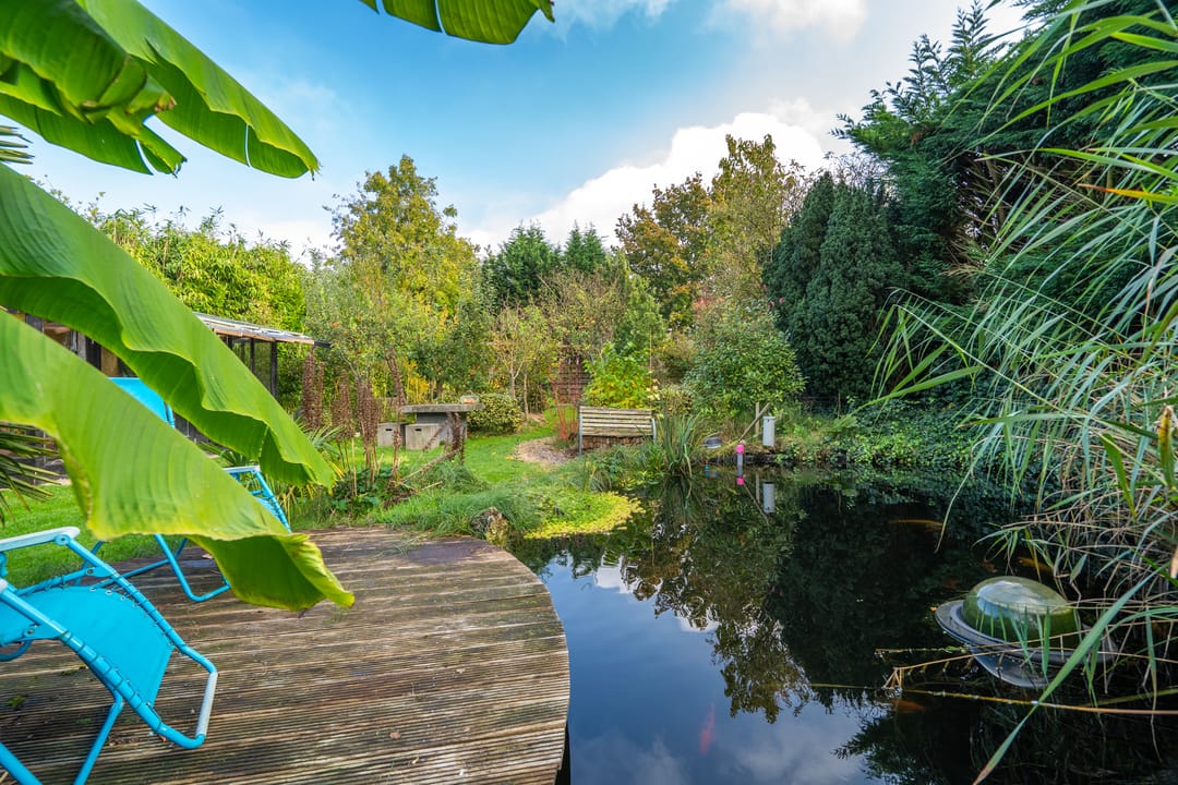 Photo 46 of Zandweg 35